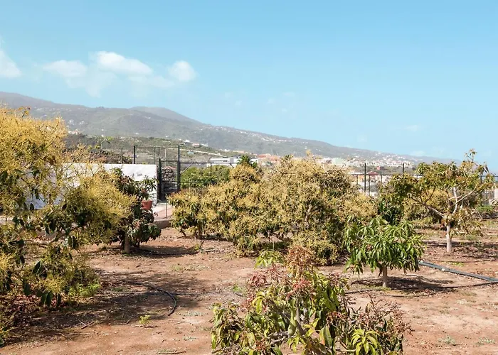 度假居 Casas Quemahierro 伊科德·德·洛斯·维诺斯